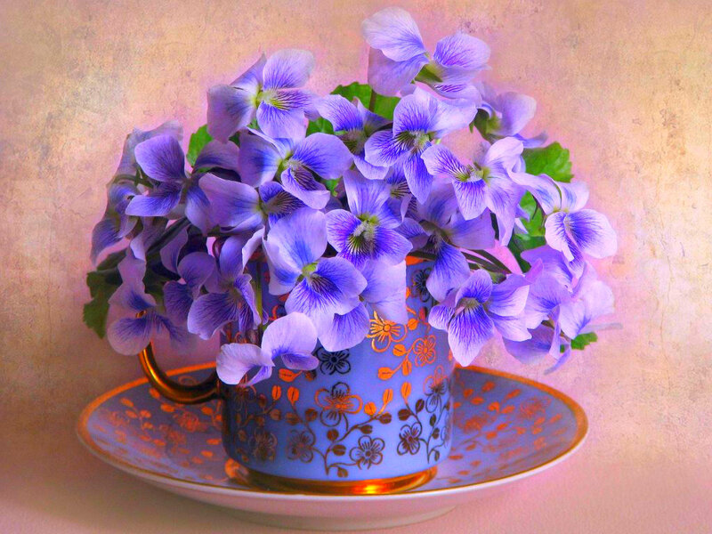 Purple Violets in Teacup