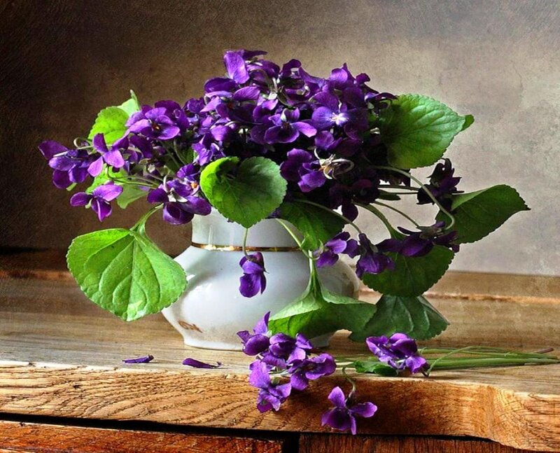 Purple Violets in Vase — Calm, Photograph, Wooden Surface