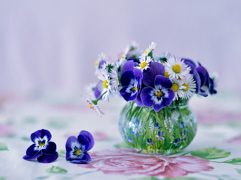 Purple Violets in Vase — Serene, Spring