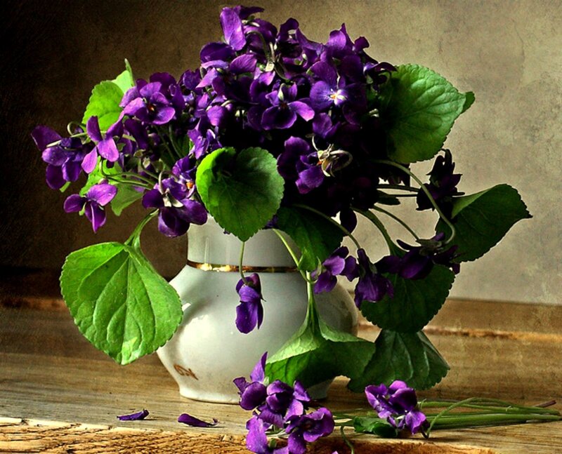 Purple Violets in Vase