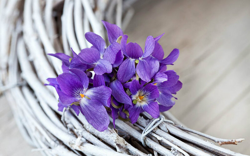 Purple Violets on Wreath