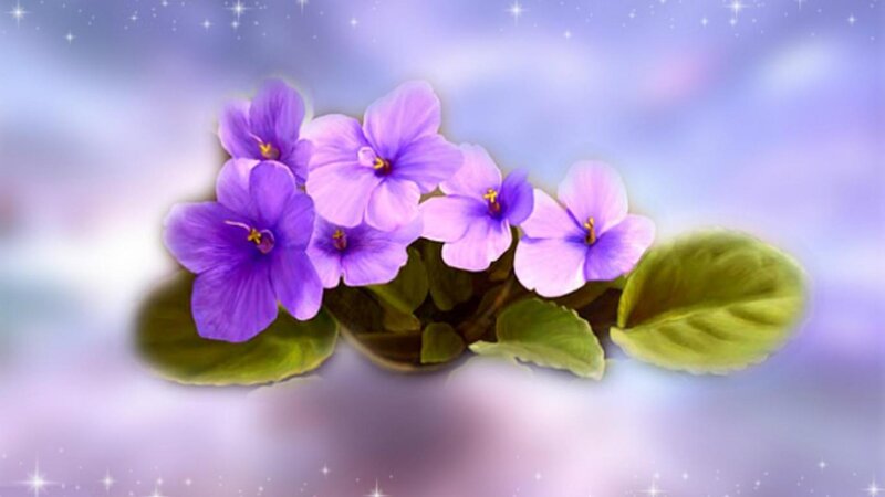 Purple Violets with Green Leaves — Dreamy, Digital Art