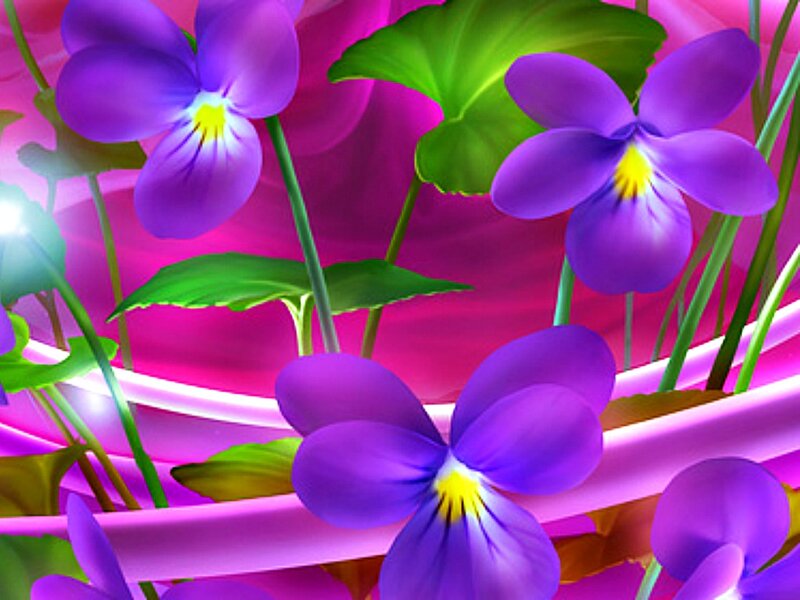 Purple Violets with Green Leaves — Vibrant