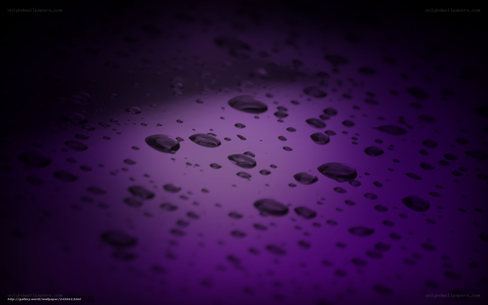 Purple water droplets on surface