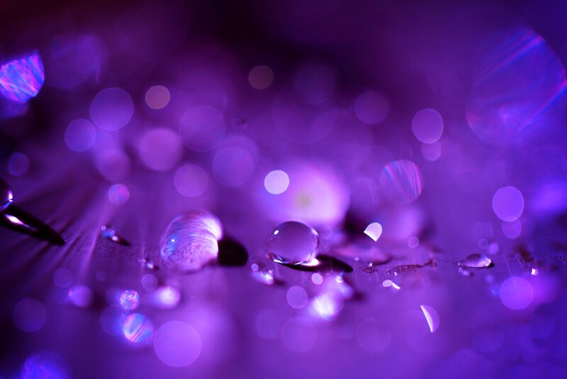 Purple Water Droplets