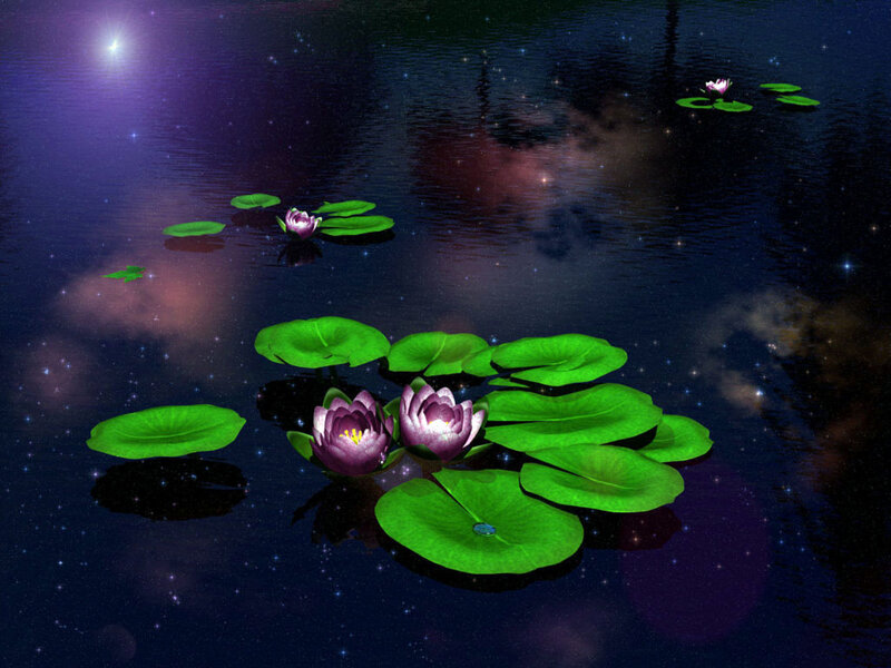 Purple Water Lilies — Green, Serene, Night