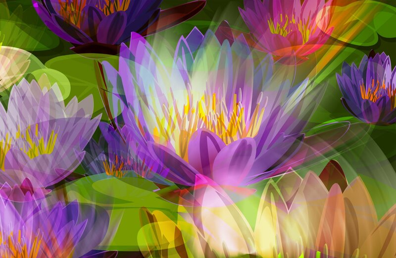 Purple Water Lilies — Vibrant, Digital Art