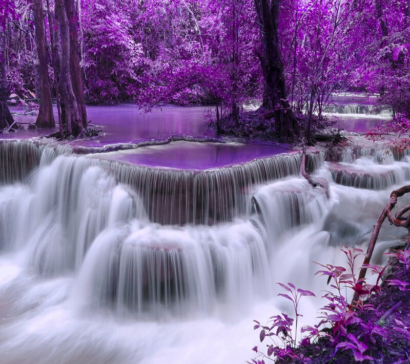 Purple Waterfall Forest