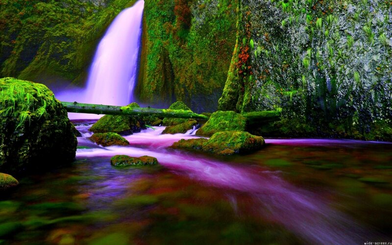Purple Waterfall in Forest — Green, Serene