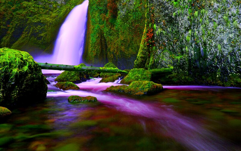 Purple Waterfall in Forest — Green