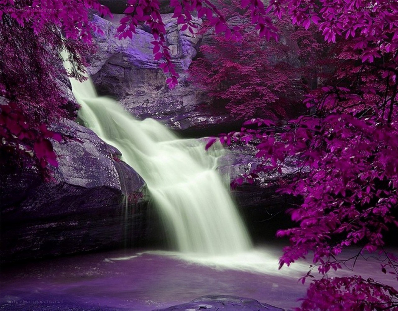 Purple waterfall in forest