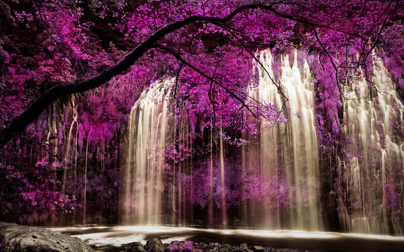 Purple Waterfall Scene