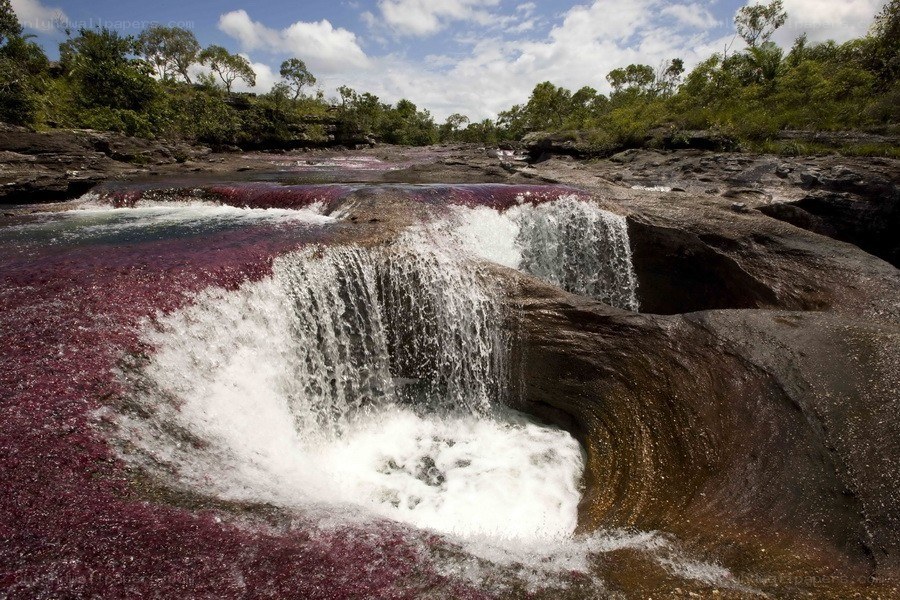 Purple waterfalls in Brazil