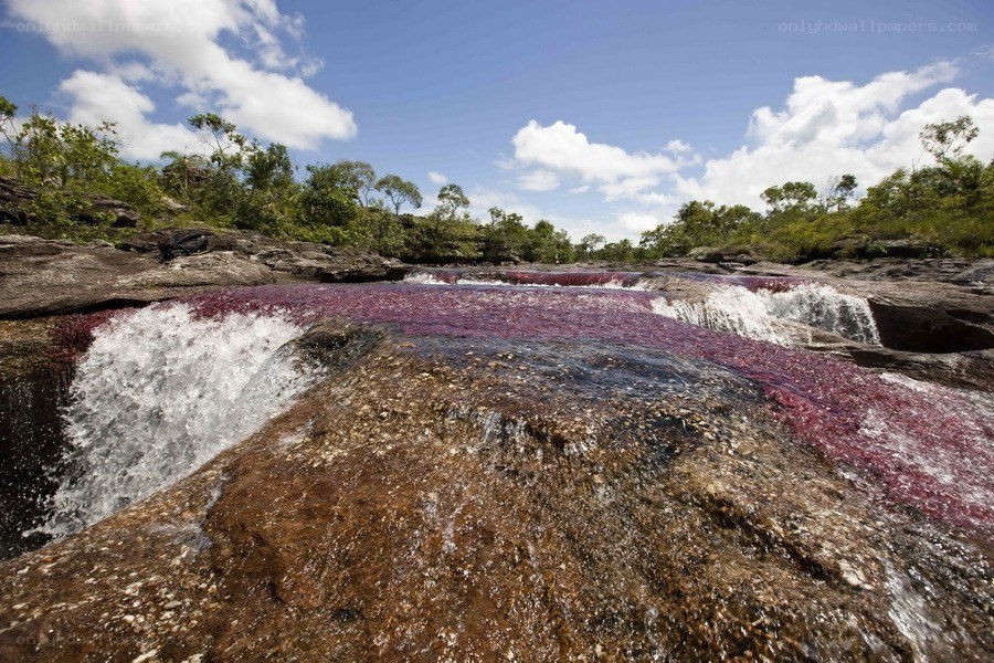 Purple waterfalls in the jungle