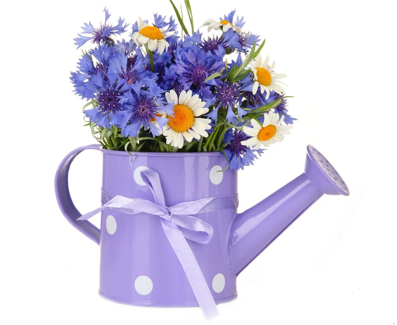 Purple Watering Can with Flowers — Calm