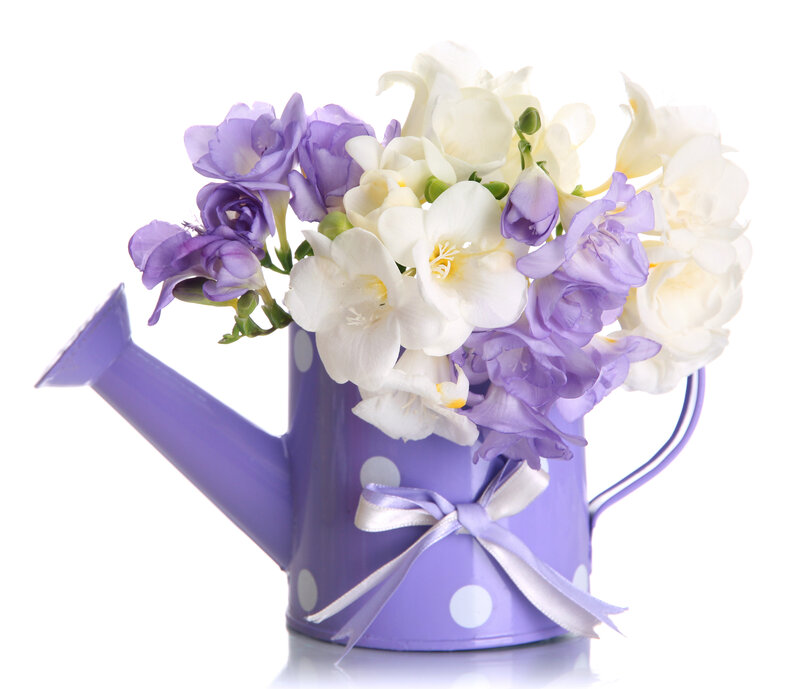 Purple Watering Can with Flowers