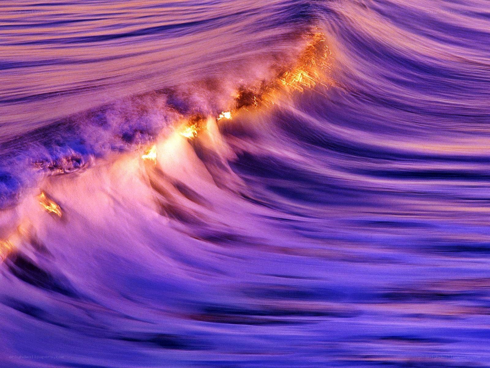 Purple wave with glowing crest