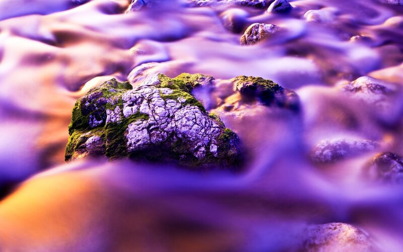 Purple waves and mossy rocks