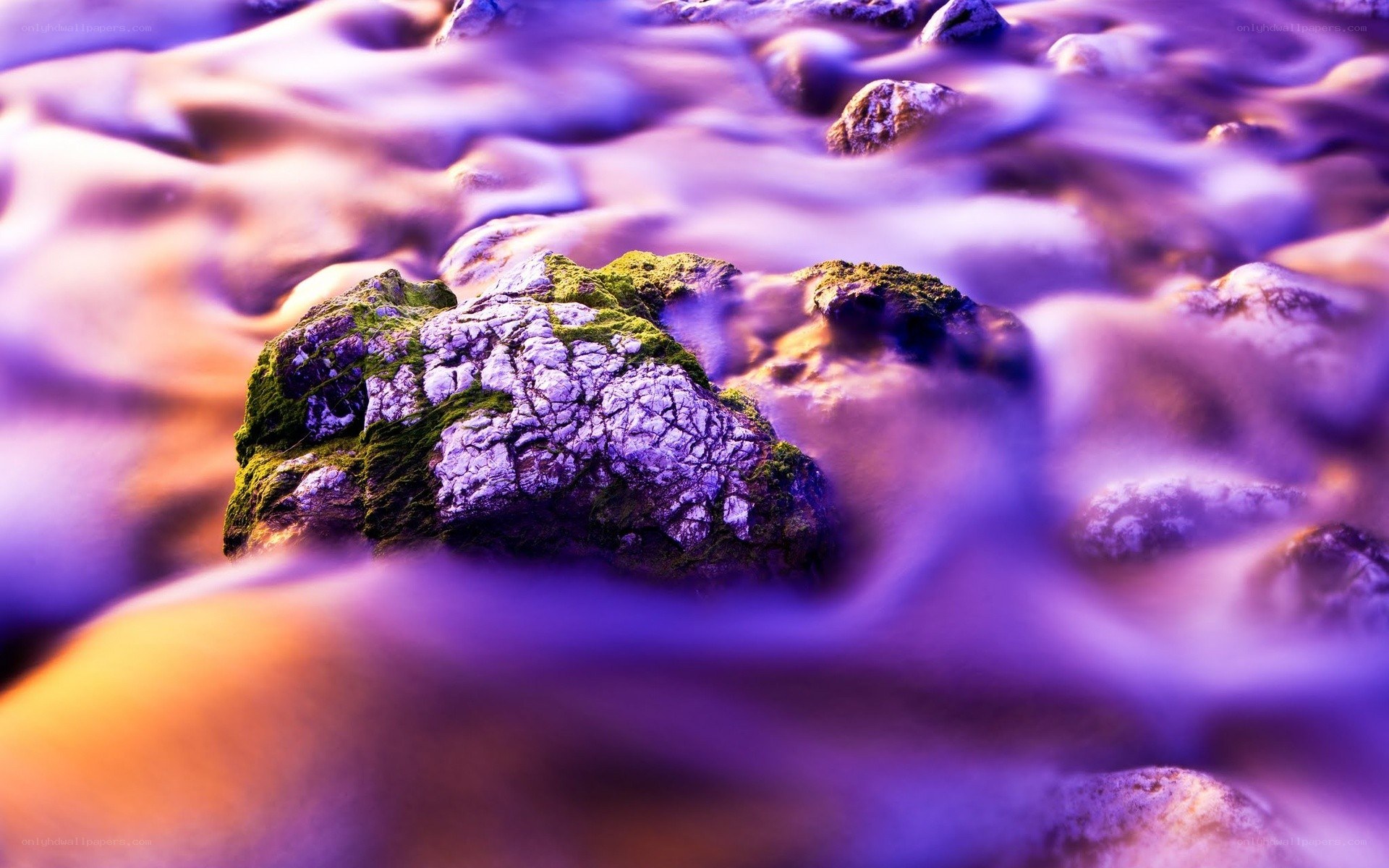Purple waves and mossy rocks