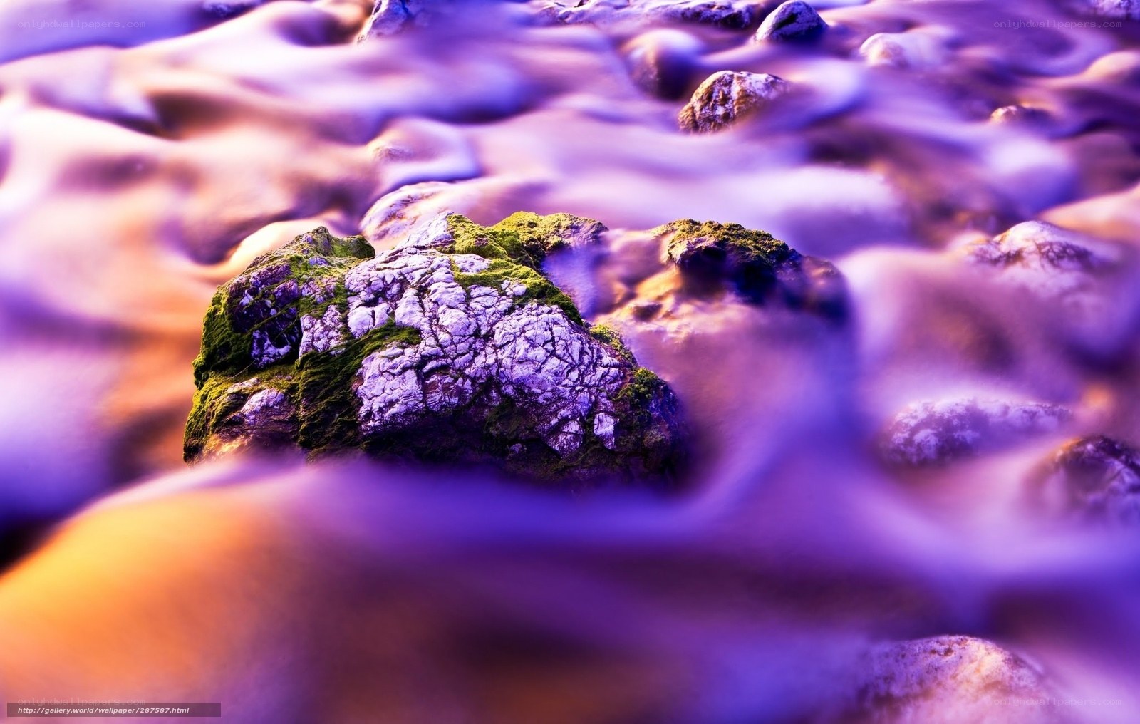 Purple Waves on Mossy Rocks