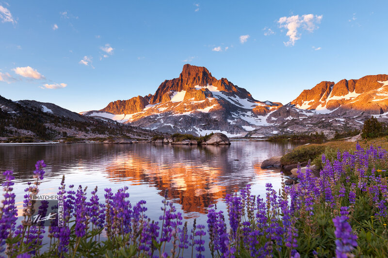 Purple Wildflowers and Mountain — Blue, Serene, Sunset