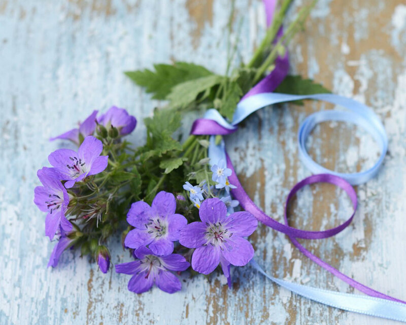 Purple Wildflowers in Bouquet