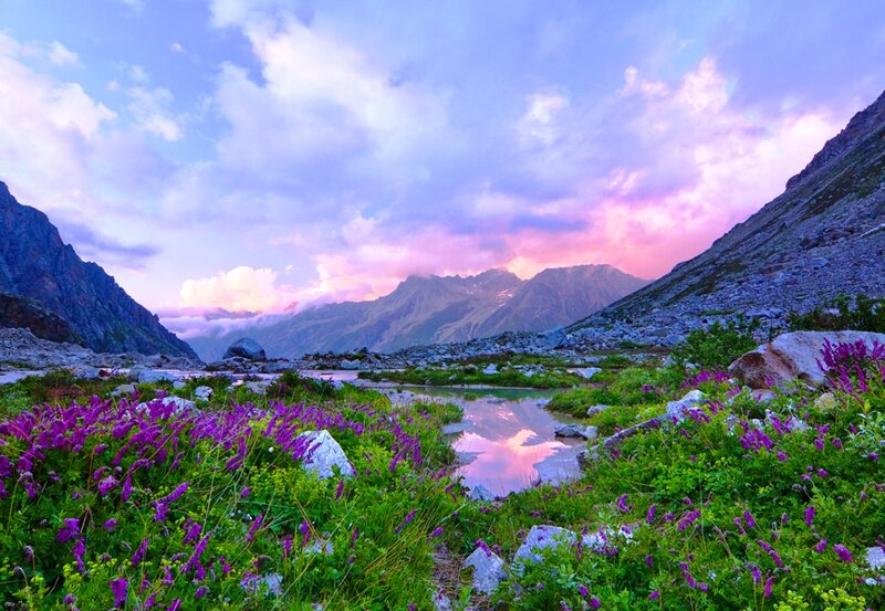 Purple Wildflowers in Valley — Serene, Sunset