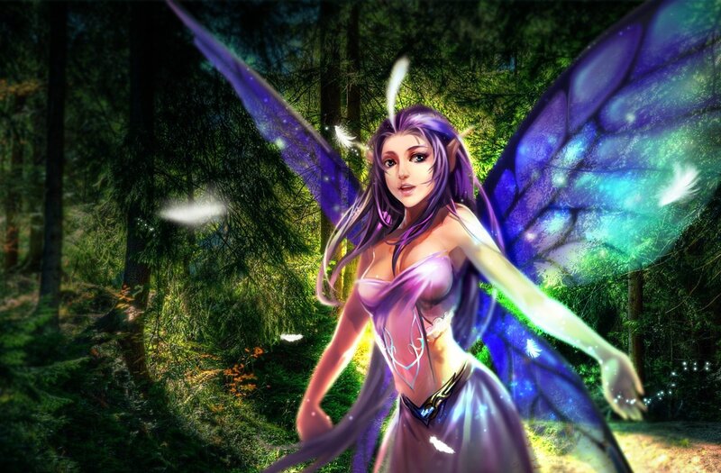 Purple-winged Fairy — Purple