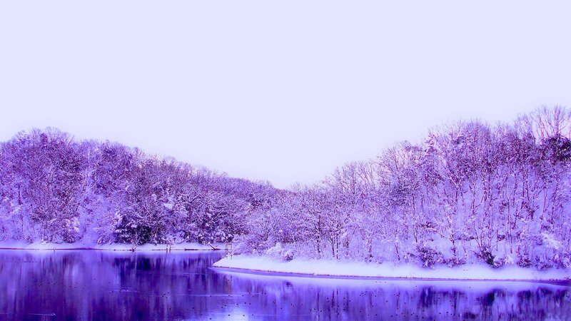 Purple winter lake landscape