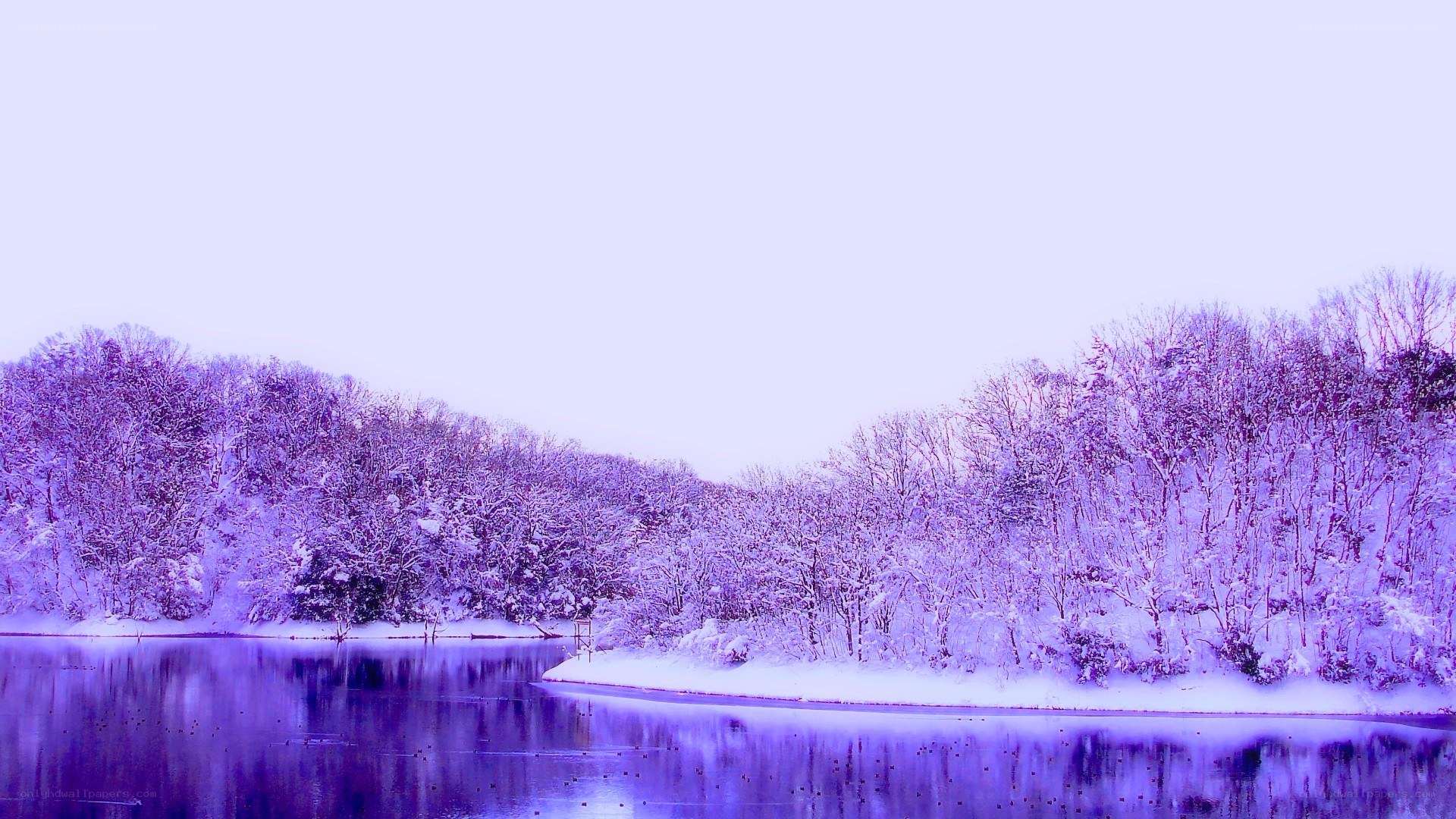Purple winter lake landscape