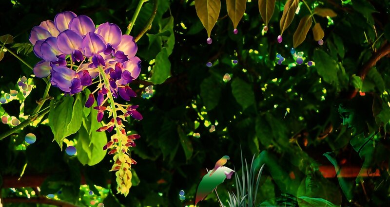 Purple Wisteria Flowers — Serene, Afternoon, Digital Art