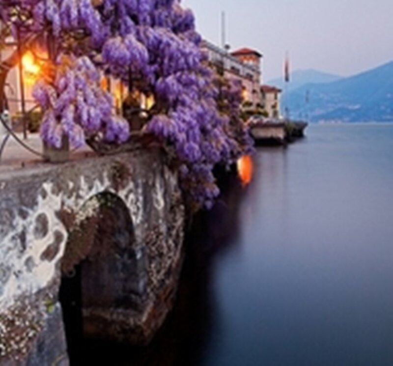 Purple Wisteria over Water
