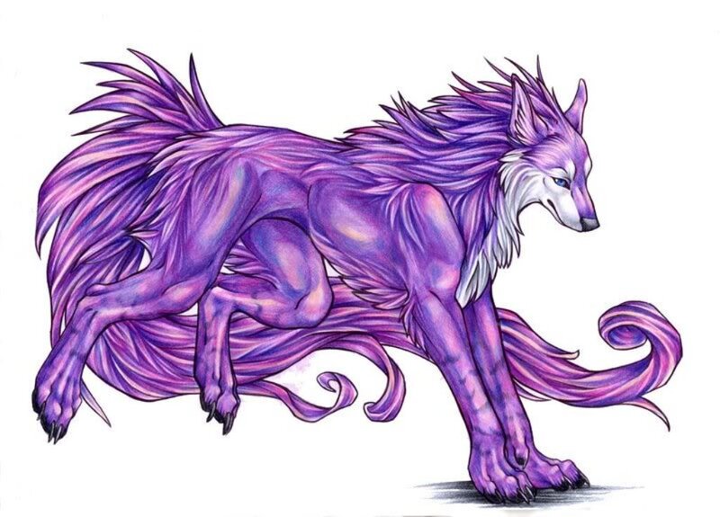Purple Wolf Creature — Alert