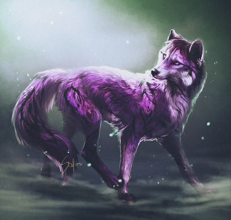 Purple Wolf Standing