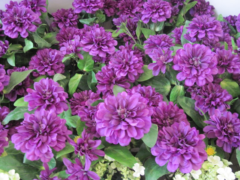 Purple Zinnia Flowers — Calm
