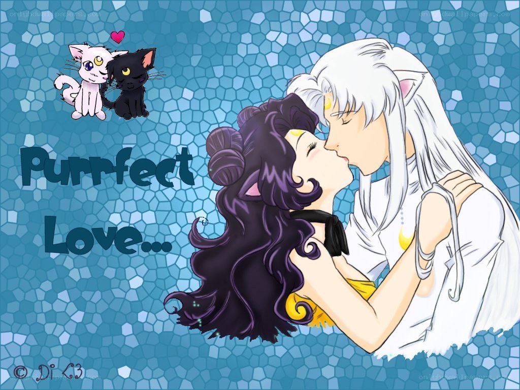 Purrfect Love artwork