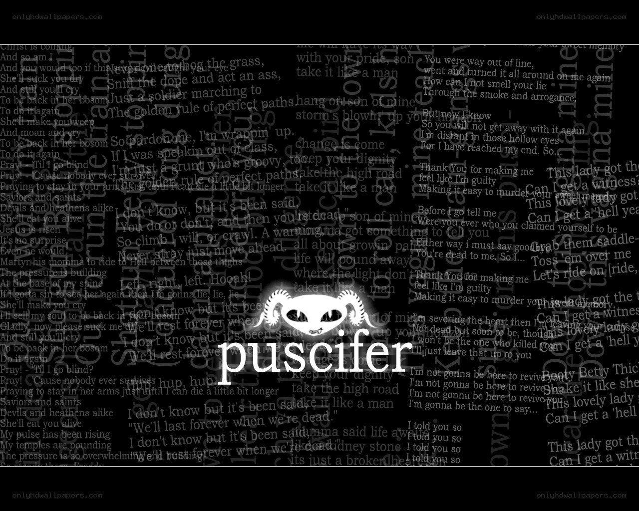 Puscifer album artwork