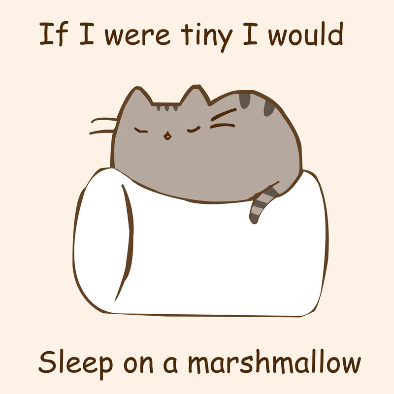 Pusheen on a marshmallow
