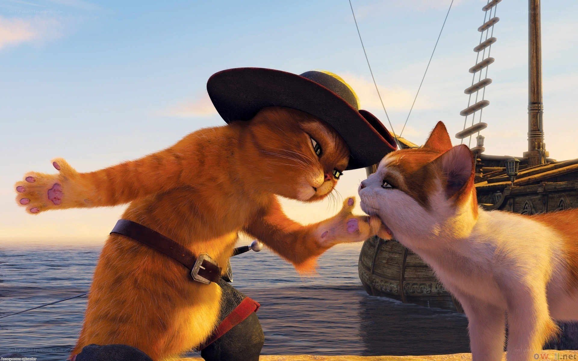 Puss in Boots confronts a kitten