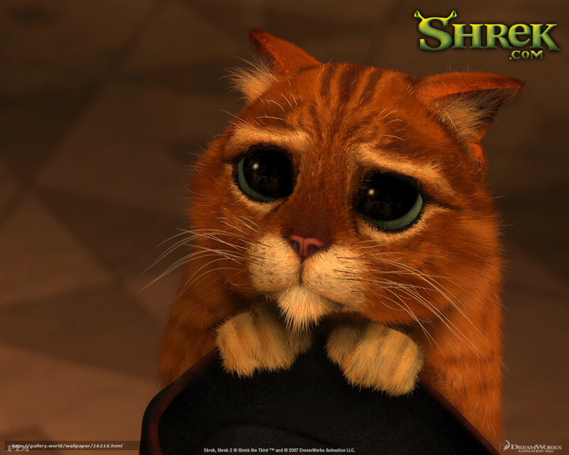 Puss in Boots from Shrek