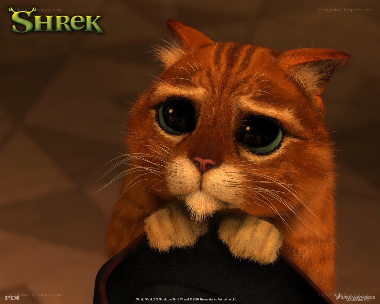 Puss in Boots from Shrek