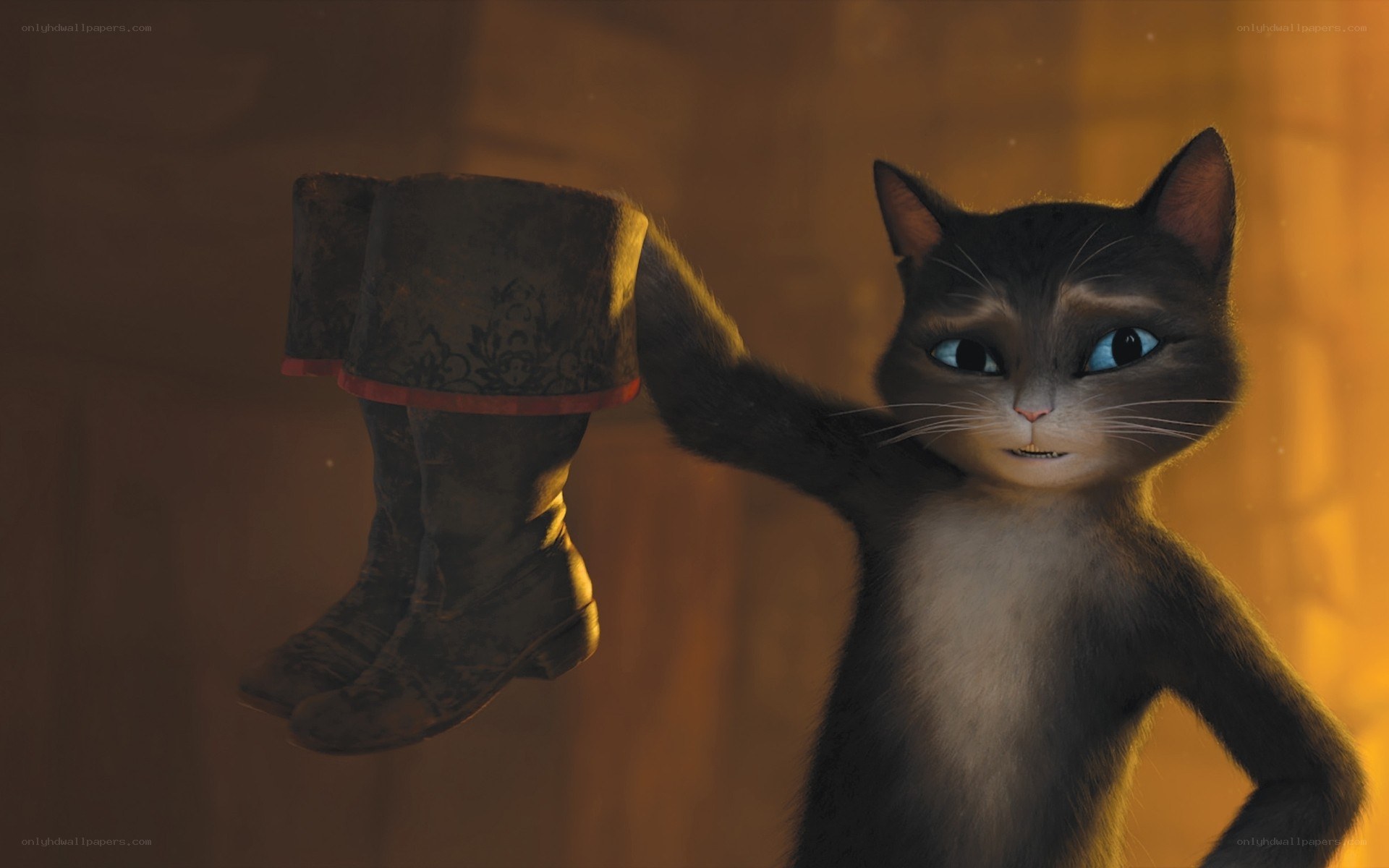 Puss in Boots holding boots