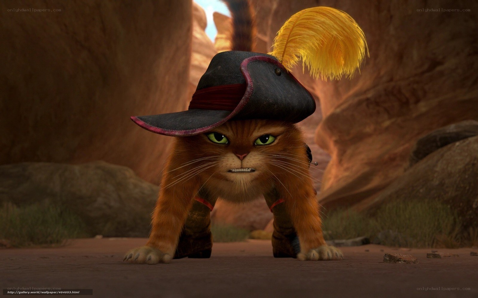 Puss in Boots in a canyon