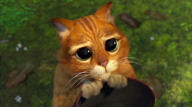 Puss in Boots looking sad