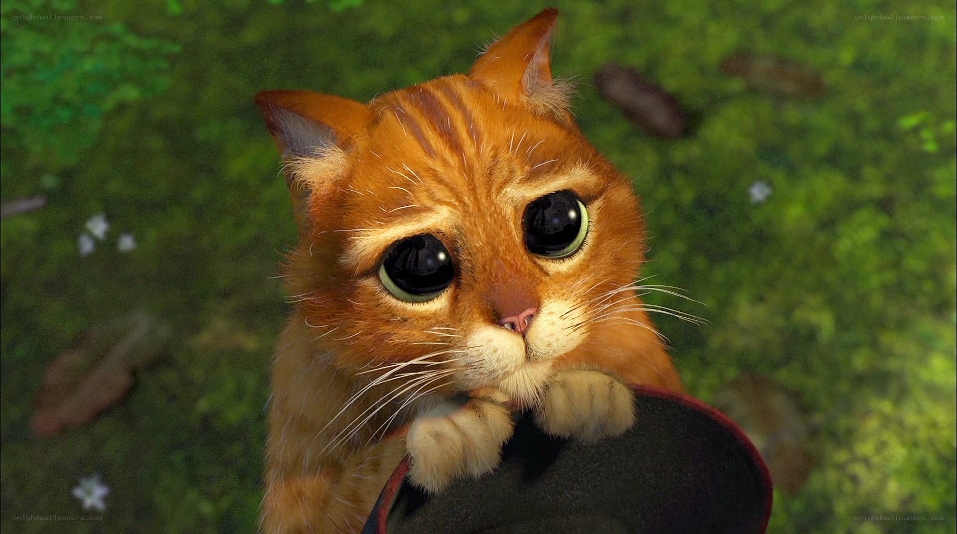 Puss in Boots looking sad