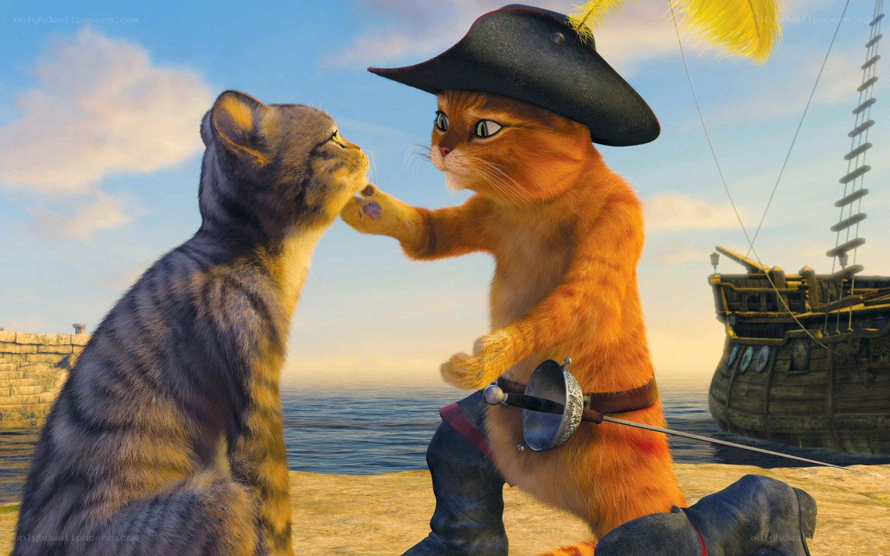 Puss in Boots meets a cat