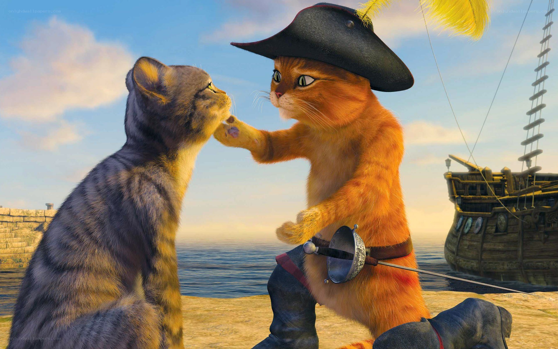 Puss in Boots meets a cat