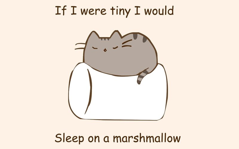 Puss in Marshmallow