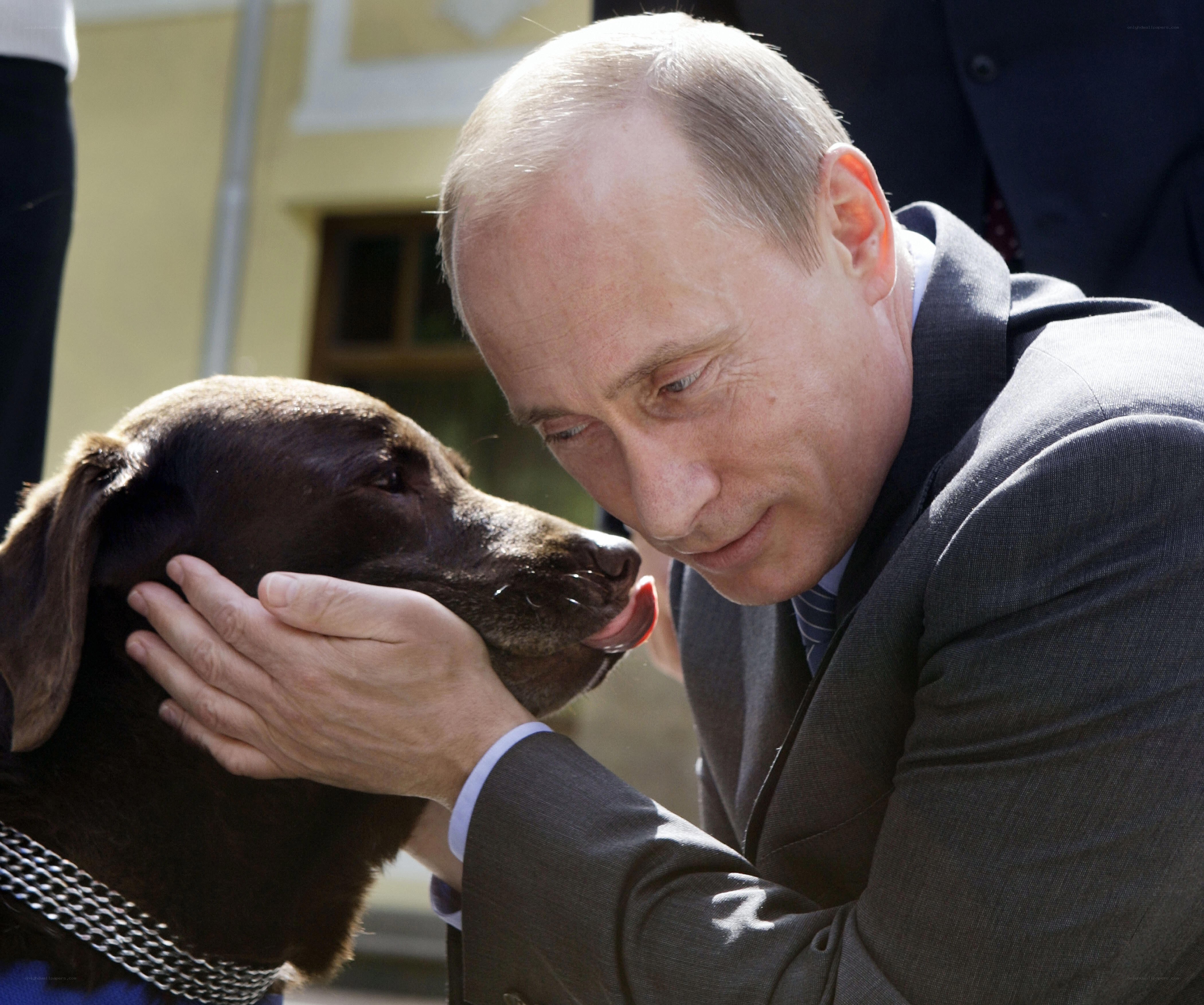 Putin petting a dog
