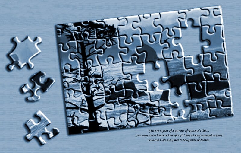 Puzzle with Missing Pieces